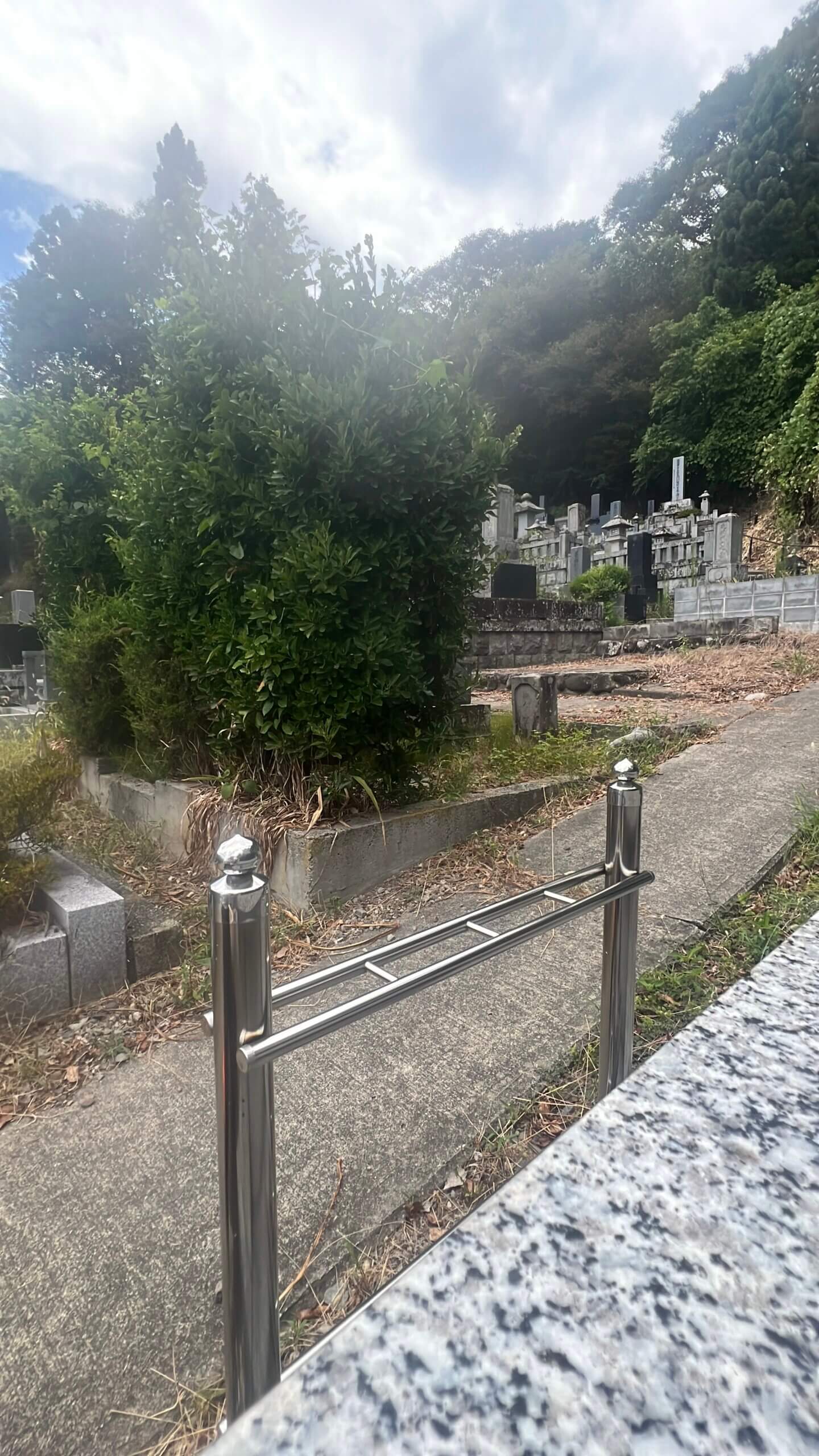 作業前の草木で荒れたお墓