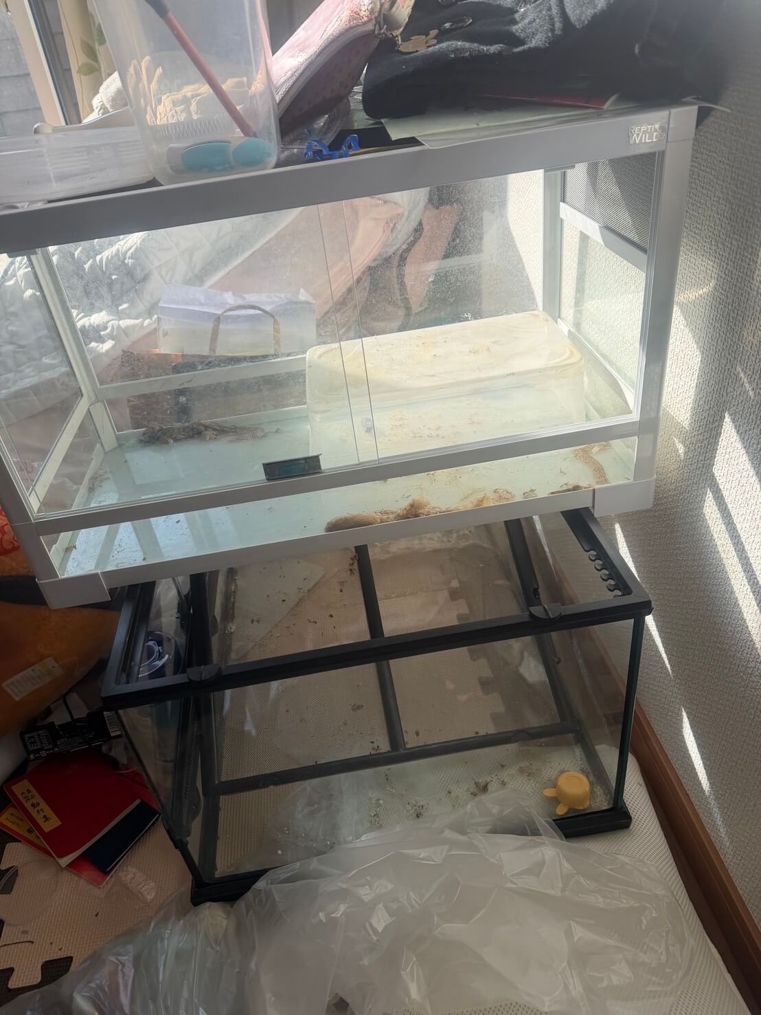 空のペットゲージ